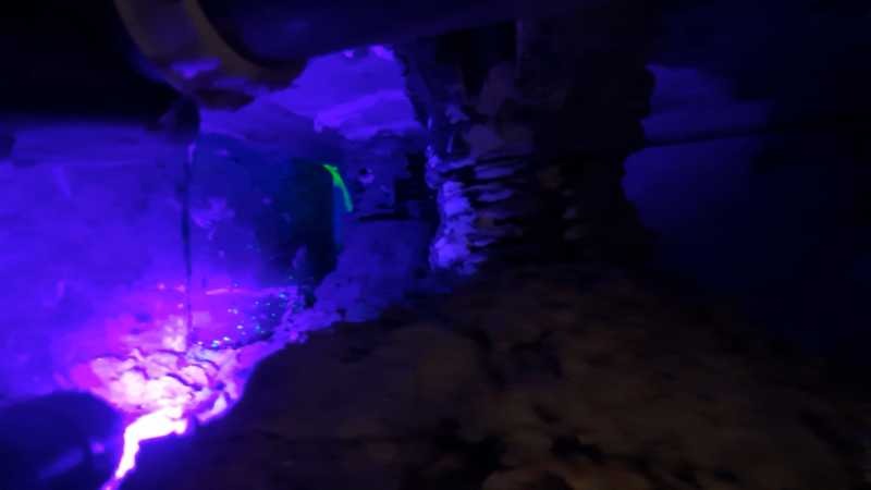Colorant traceur sous UV confirmant la fuite du receveur